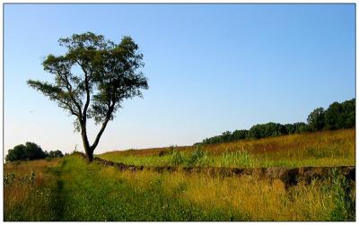 Brandywine Creek State Park *