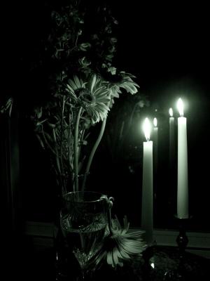 Lonely Nights