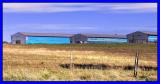 Blue Barns