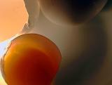 Yolk Shots *