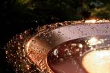 Drink for Feathered friends (*)
