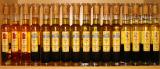 Olive Oil