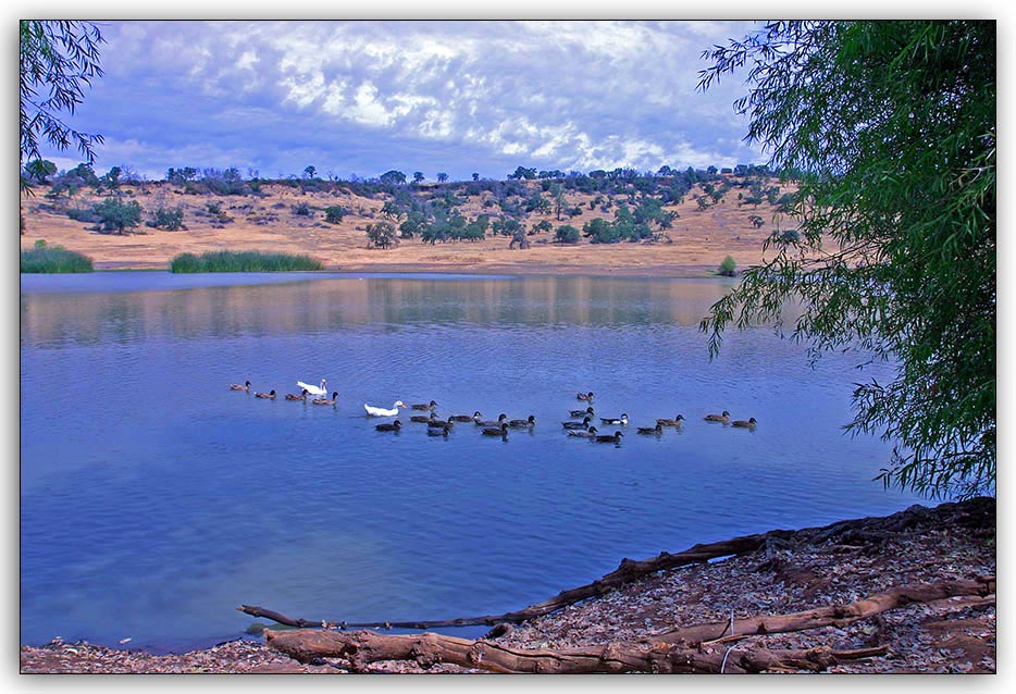 Five Mile Park