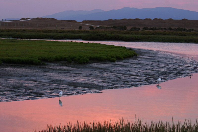 Sunset Discovery*