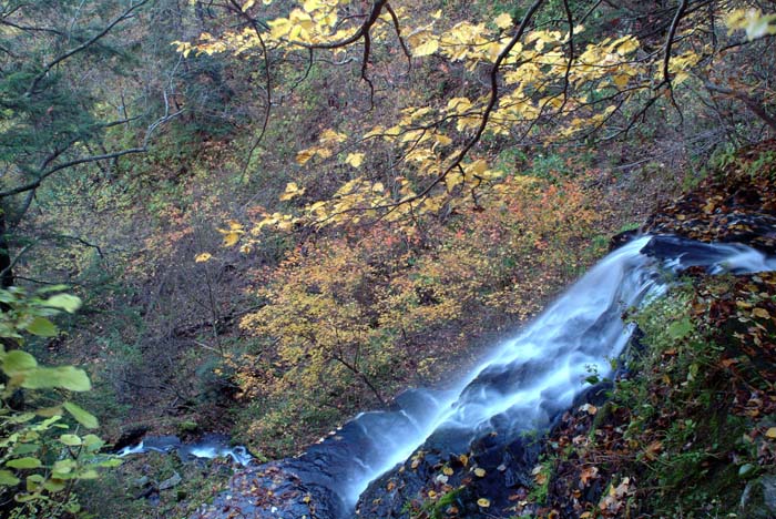 Seimons Falls