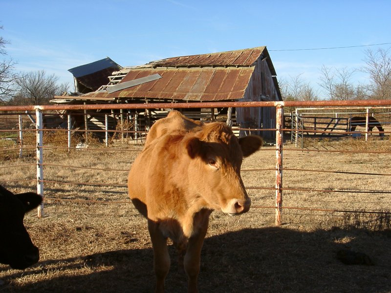 12010021.JPG
