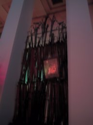 Canes of the healed2.jpg