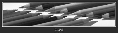 tips in BW with border  text1.jpg