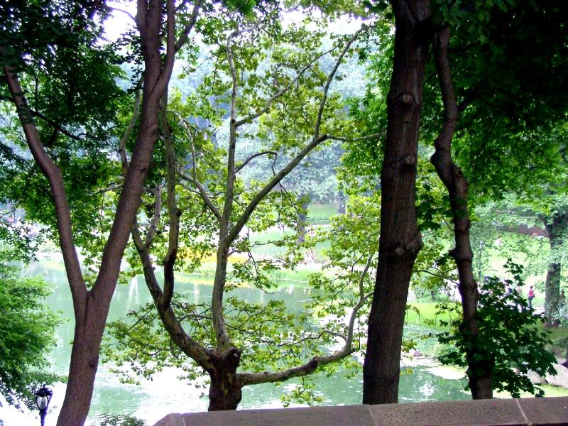 Central Park 637.JPG