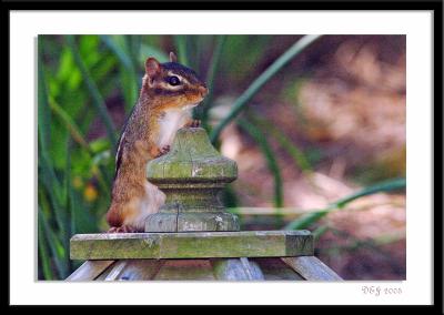 D2H_6107-a.jpg