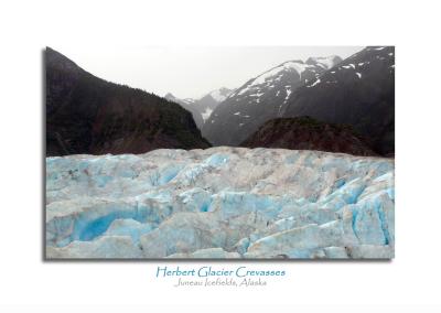 Herbert Glacier Crevasses