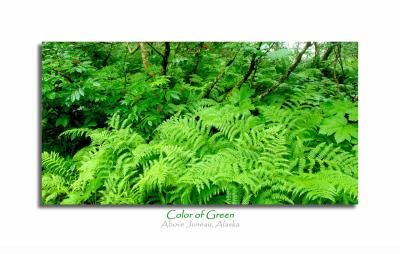 Color of Green