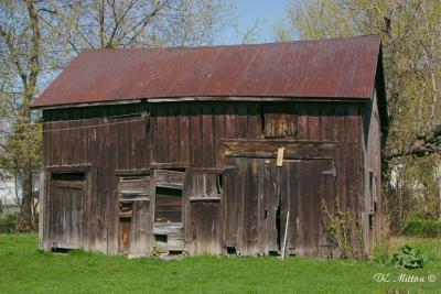 u18/dmitton/medium/43040898.Barn_CRW_1274b.jpg