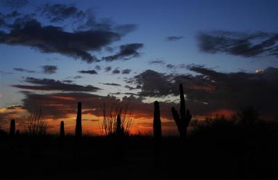 Sun Set Arizona
