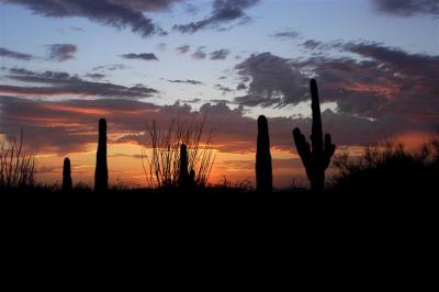 Sun Set Arizona 2