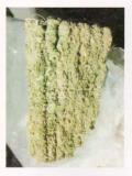 thaistick
