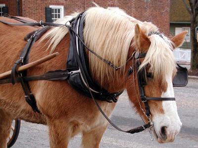 Old Salem, Winston Salem NC