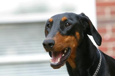 What a pretty girl...