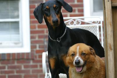 Group shot