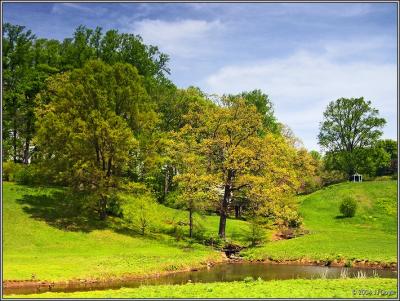 Brandywine Spring