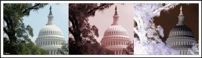 8/26/04 - Capitol Views