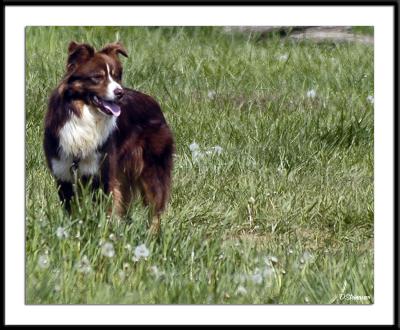 ds20050507_0216awF.jpg