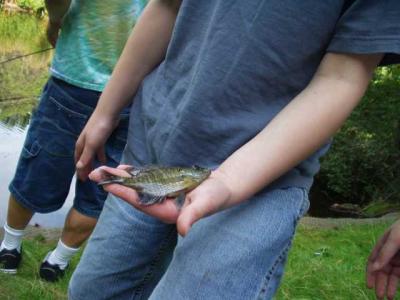 Landed another