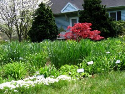 Garden Tour