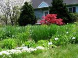 A Daylily Farm