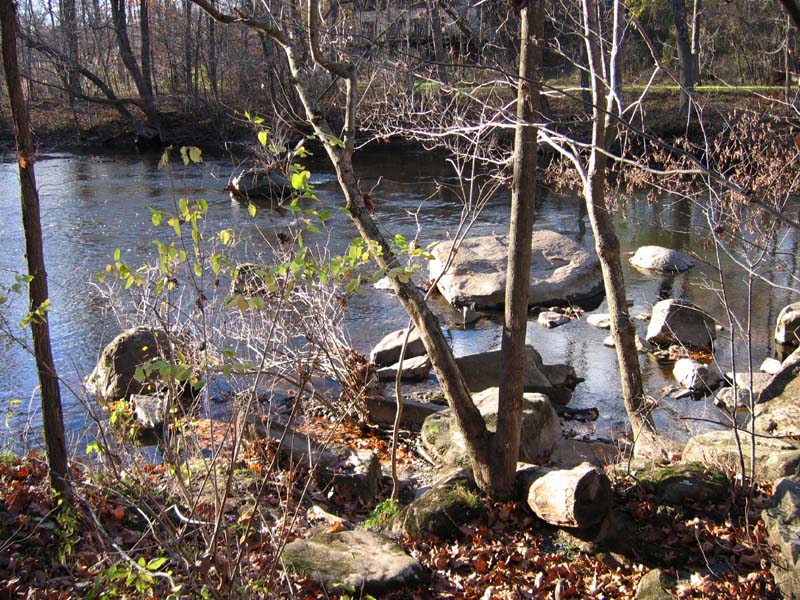 Rocks in the Perkiomen