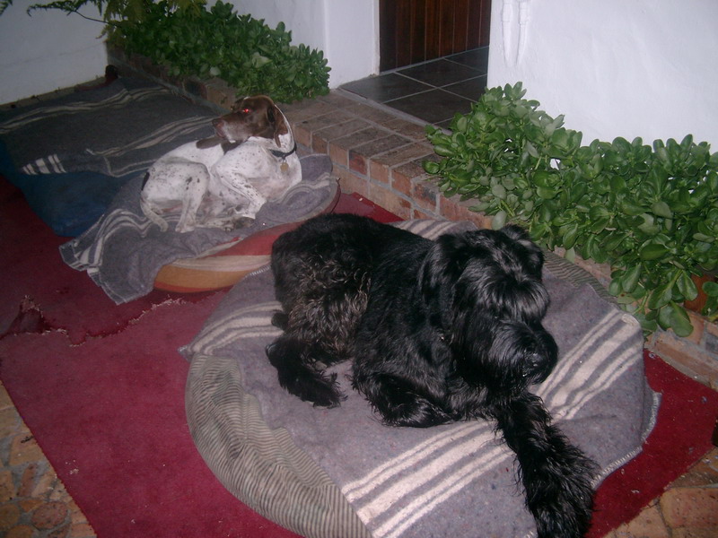 IMGP0608.JPG