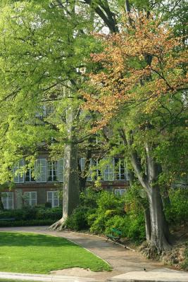 Le jardin des Plantes, Toulouse