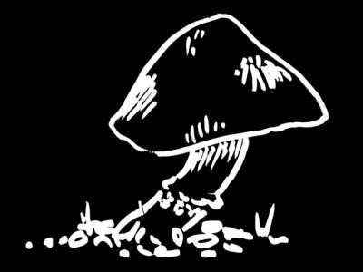 Mushroom black&white