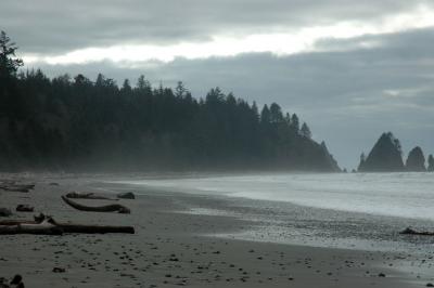 Beach Scene