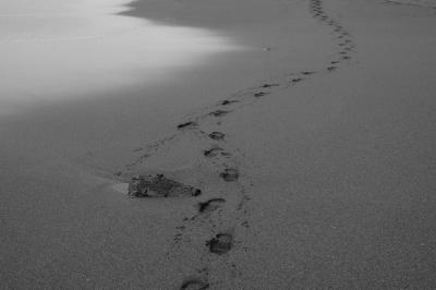 Footprints