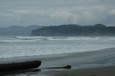 Olympic N.P. - Shi Shi Beach