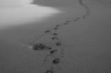 Footprints