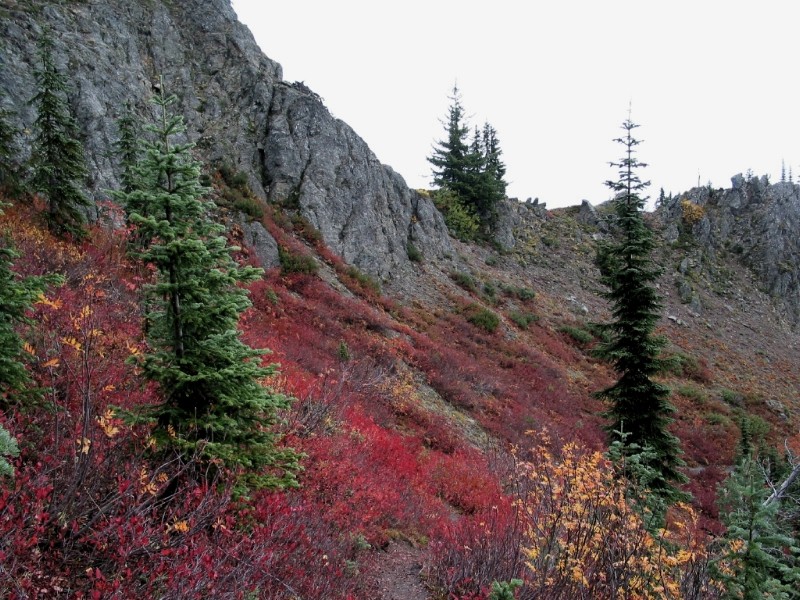 Trail Descending