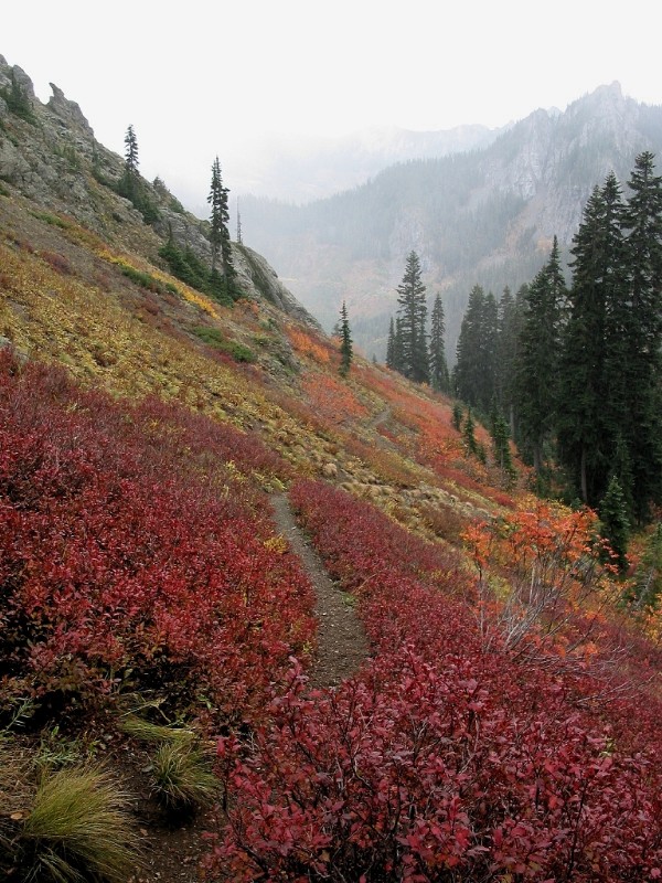 Fall Colors