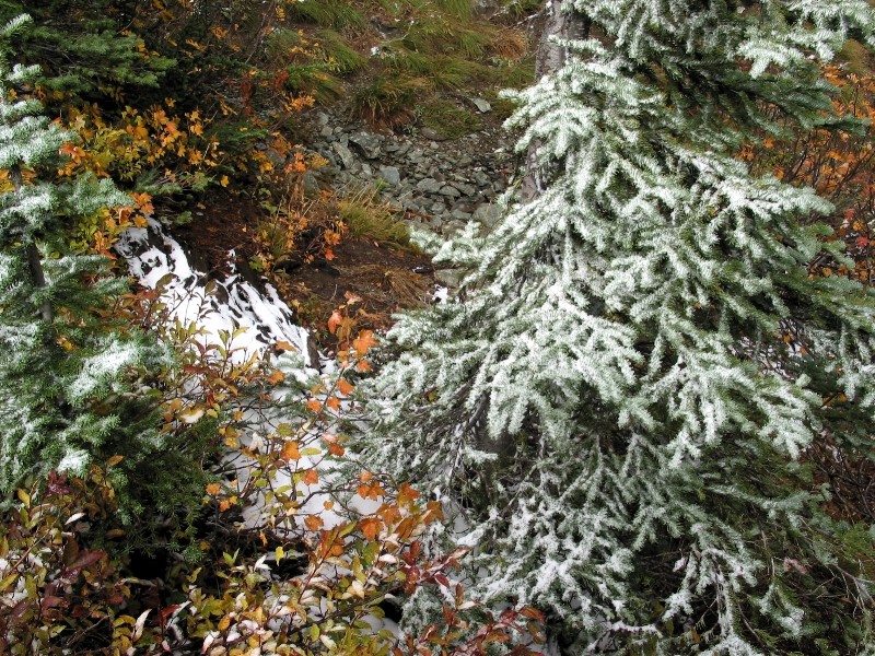 Dusting of Snow