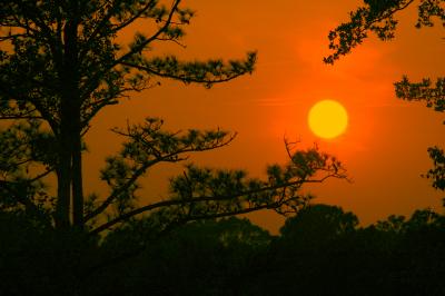 Not sunset 1012.jpg
