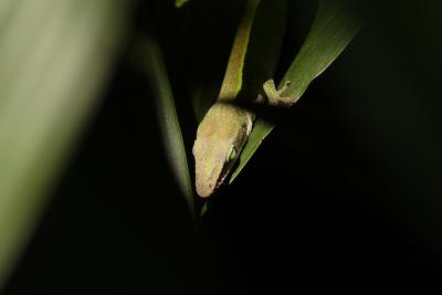 DPPP_0020s.jpg