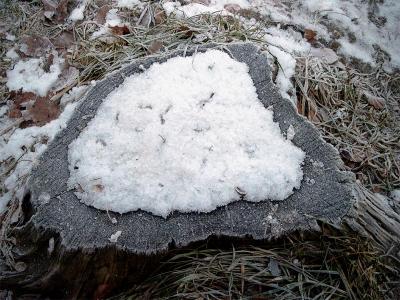 stub m. rimfrost 2003.JPG