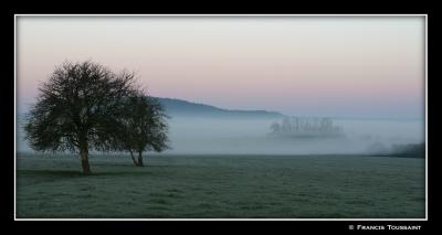 Morning fog