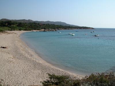 Cala longa_2.jpg