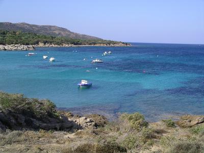 Cala longa_3.jpg