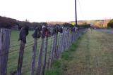 Boot Hill Fence