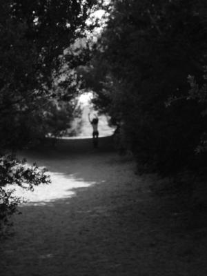 DSC00017.JPG