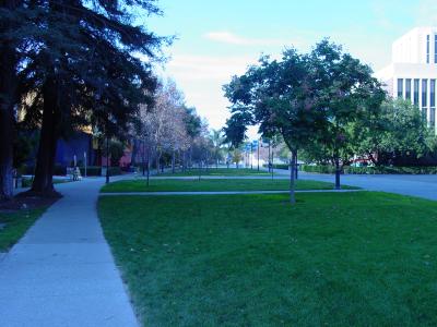 DSC00042.JPG