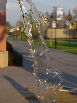 A Survey of San Jose State University